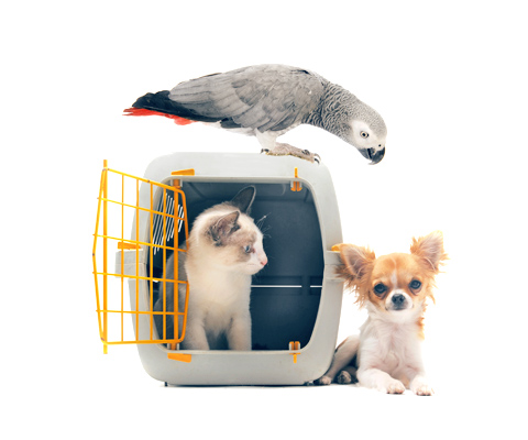 R&L Couriers